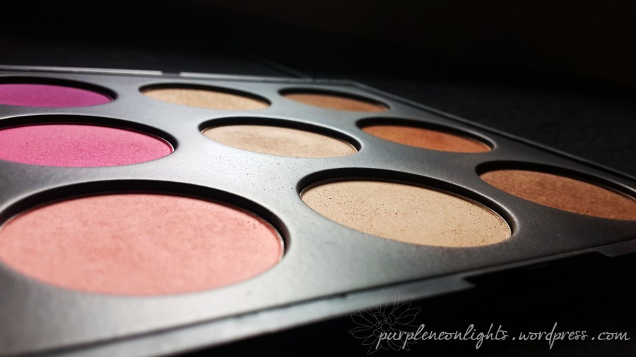 Review&Swatches : Coastal Scents Sleek Silhouette Palette